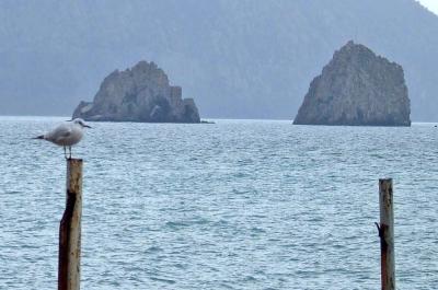 Прикрепленное изображение: DSCF6676.jpg